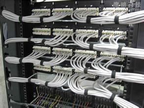 邯鄲網(wǎng)絡布線廠家價格探析與專業(yè)服務商推薦 金思電腦與動漫設計行業(yè)的網(wǎng)絡基石