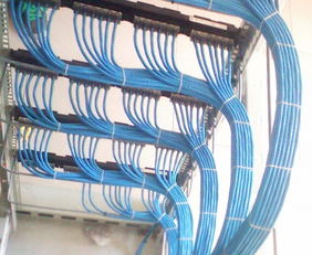 西湖區辦公室綜合布線指南 弱電、網線、強電與電話線的專業部署方案